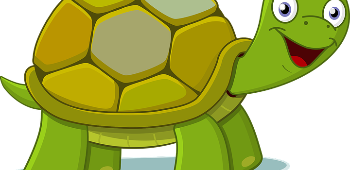 Schildkrötenklasse