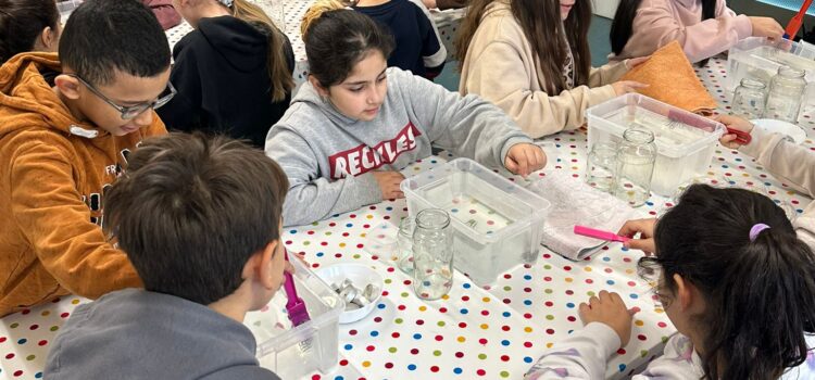 Ausflug ins grüne Klassenzimmer Ausflug ins grüne Klassenzimmer