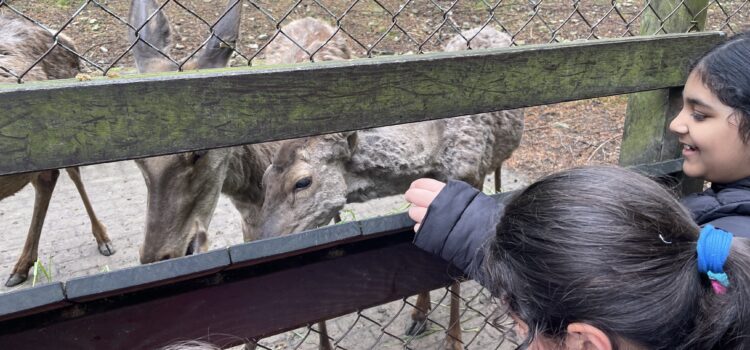 Die Altstadtschule im Tierpark Olderdissen